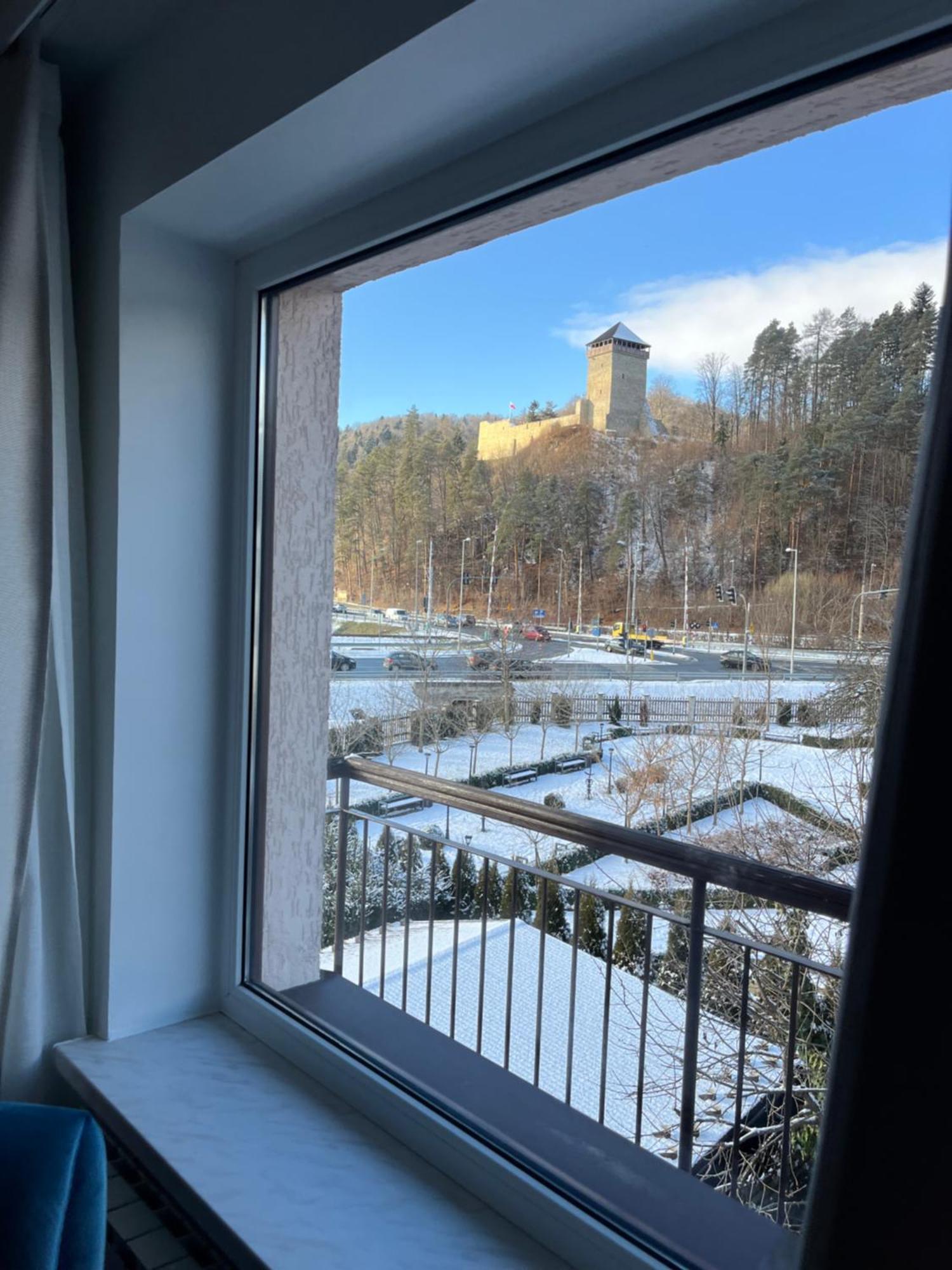 Villa Turris Apartamenty Przy Muszynskim Zamku 穆希纳 外观 照片